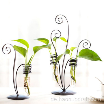 Literary Iron Hydroponics Plant Vase and Water culture glass vase and crafts For Desktop Decoration